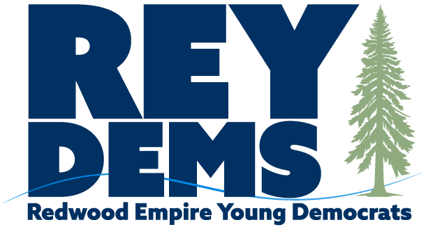 reydems logo